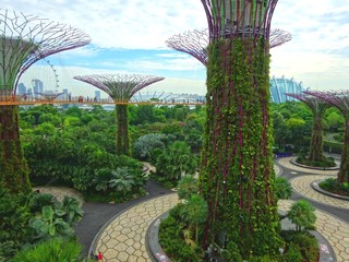 Gardens by the Bay Skyway