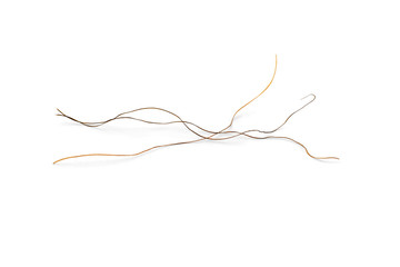 Macro of blond hair isolated on white background