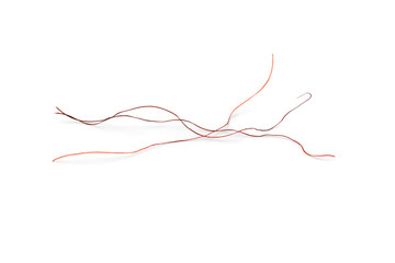 Macro of red hair isolated on white background