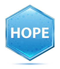 Hope crystal blue hexagon button
