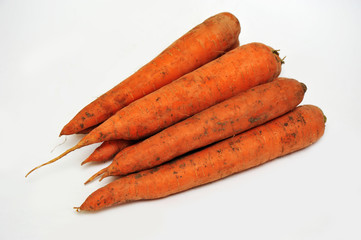 Big dirty carrots on an isolated white background