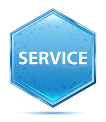 Service crystal blue hexagon button