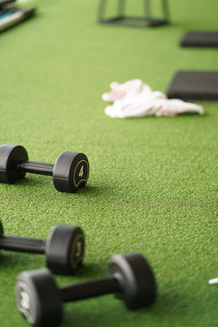 4kg dumbbells on green grass