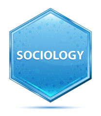 Sociology crystal blue hexagon button