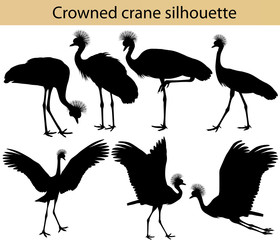 Naklejka premium Collection of silhouettes of crowned cranes