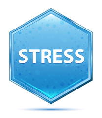 Stress crystal blue hexagon button