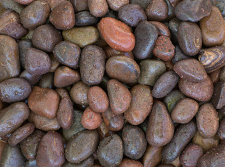 wet colored pebbles, decorative stone background