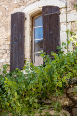 old tenement house overgrown with ivy in Sault, Vaucluse department in Provence region, France