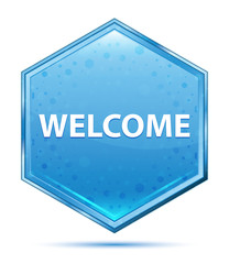 Welcome crystal blue hexagon button