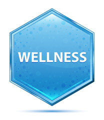Wellness crystal blue hexagon button
