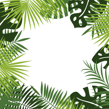 Vector backdrop or background of Tropical green foliage of rainforest and jungle plants: white place for text surrounded by frame or border of leaves of fern, palm, monstera.