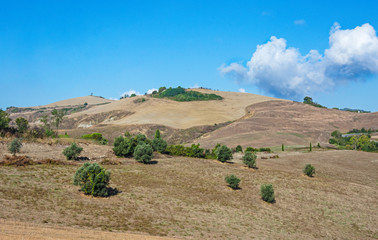 Fototapeta premium Campagna Pisana