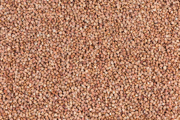 Background of uncooked pre-steamed buckwheat groats