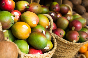 ripe juicy mango in wicker baskets on market counter