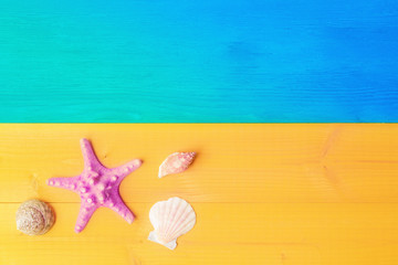 Fototapeta na wymiar Seashell and starfish on yellow blue wooden background