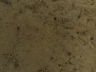 Sand surface for background, top view