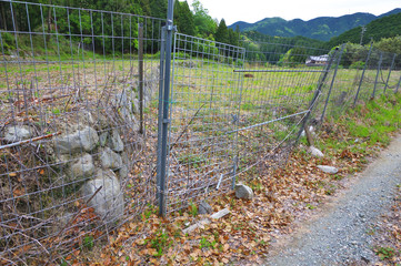 放置される水田