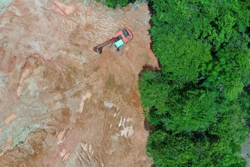 Deforestation. Logging and forestry. Rainforest jungle in Southeast Asia destroyed to make way for palm oil plantations