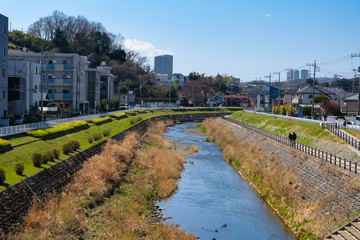 聖蹟桜ヶ丘 大栗川