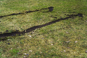 Deep trails of car tires on uneven lawn