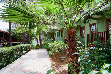 Green park and house in it in a summer day
