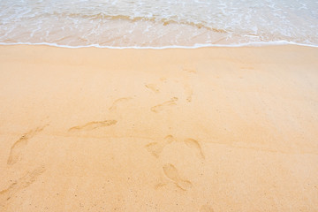 Fototapeta na wymiar Footprints in Sand on Beach on a Sunny Day.