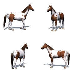 Set of horse with shadow on the floor - isolated on white background