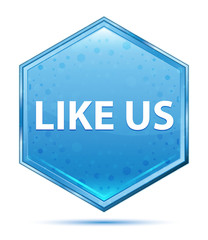 Like Us crystal blue hexagon button