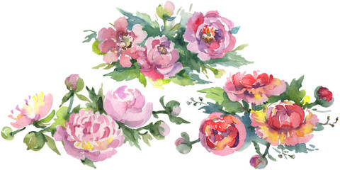 Peony bouquet floral botanical flowers. Watercolor background illustration set. Isolated bouquets illustration element.