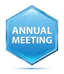 Annual Meeting crystal blue hexagon button