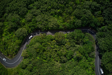 Jungle roads in Mauritius