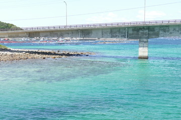 高知県柏島の風景