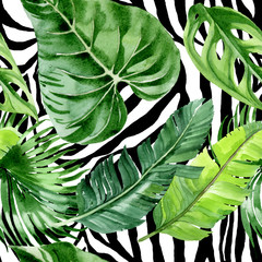 Fototapeta premium Palm beach tree leaves jungle botanical. Watercolor background illustration set. Seamless background pattern.