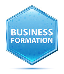 Business Formation crystal blue hexagon button