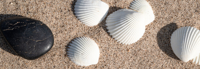 Summer background - shells and stones on the sand on the beach