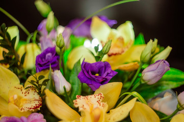 Fototapeta premium Yellow orchid bouquet in a box