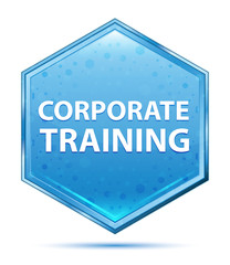 Corporate Training crystal blue hexagon button