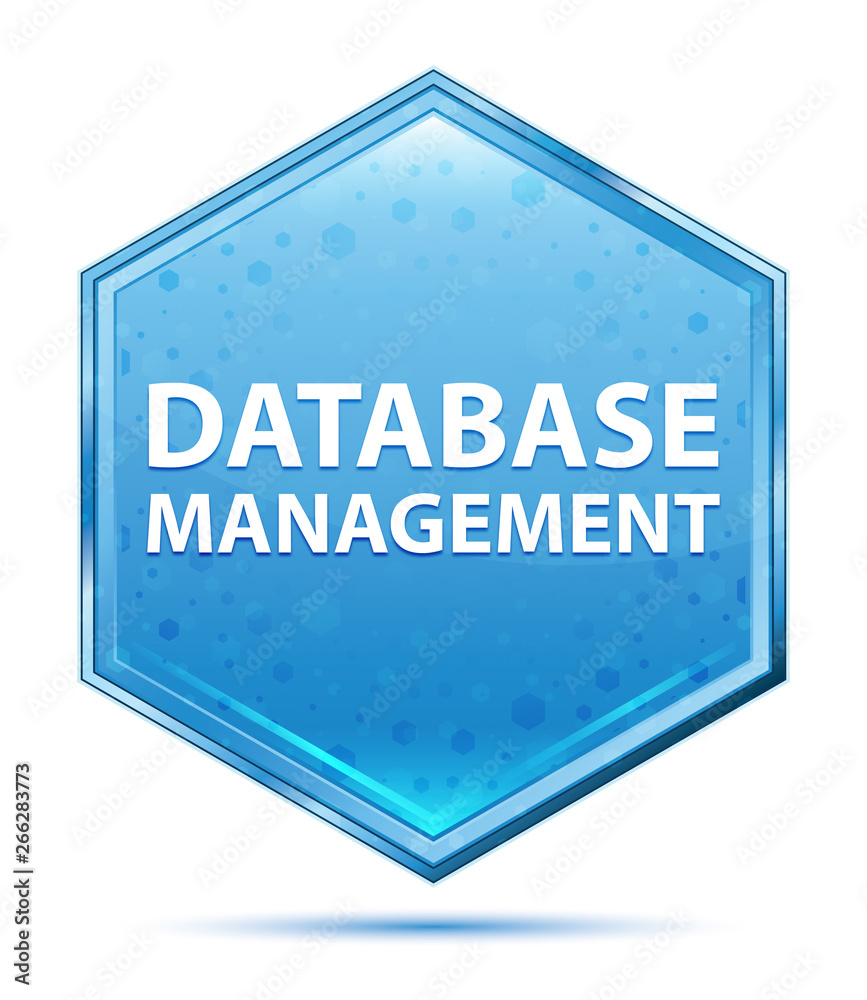 Wall mural database management crystal blue hexagon button