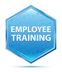 Employee Training crystal blue hexagon button