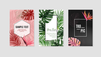 Set of tropical design cards. Bright natural exotic leaves collection.