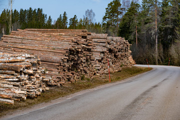 pile of pulpwood trunks near a road