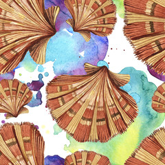 Summer beach seashell tropical elements. Watercolor background illustration set. Seamless background pattern.