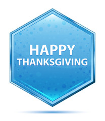 Happy Thanksgiving crystal blue hexagon button