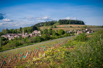 Fototapeta na wymiar village bourguignon