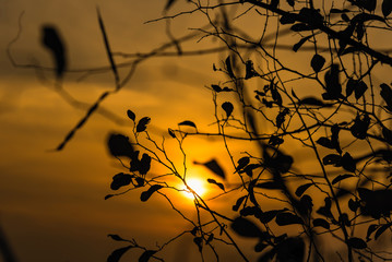 The sun is falling in sunset time at Promthep Cape in Phuket, Thailand.