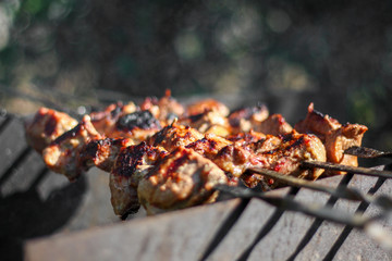 Grilled kebab cooking on metal skewer. Roasted meat cooked at barbecue. BBQ fresh beef meat chop slices.Grill on charcoal and flame, picnic, street food