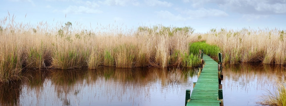 Marshlands and Canoe of Currituck, North Carolina, USA. The lake shore and forest in spring season. Soft blurry background.