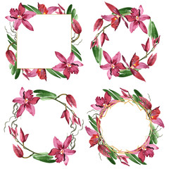 Marsala orchid floral botanical flowers. Watercolor background illustration set. Frame border ornament square.