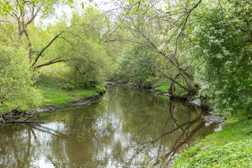 Fototapeta na wymiar Small river in spring tome.