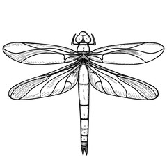 dragonfly, sketch of lines, icon